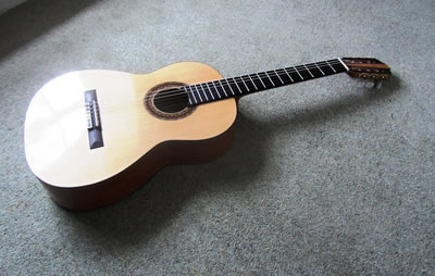 martin douglas guitars web link